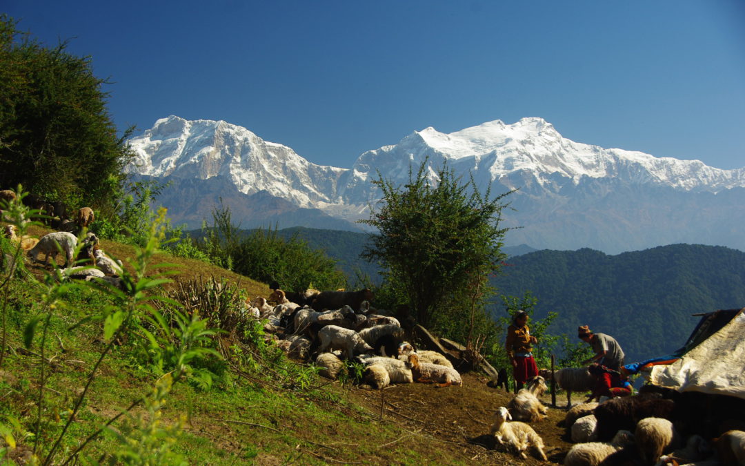 Haute route des Annapurna