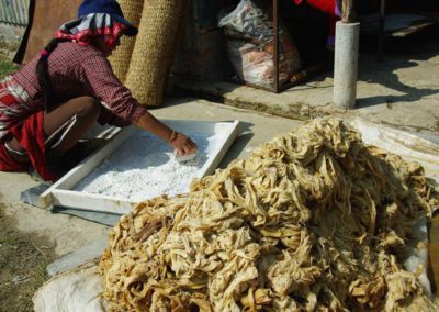 Fibres de pâte à papier népalais