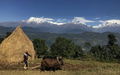 Trek facile des Annapurnas