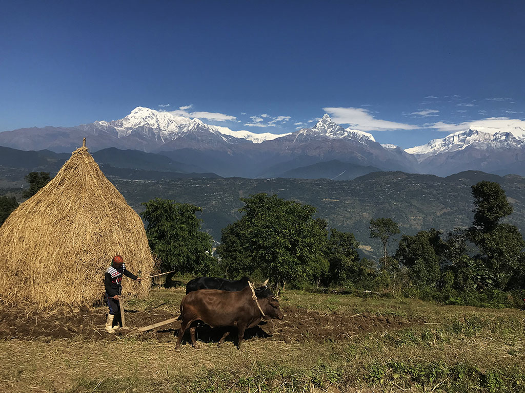 Trek facile au Népal