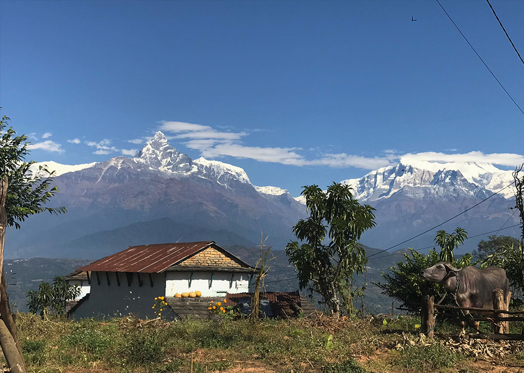 Vue sur les Annapurnas, trek facile